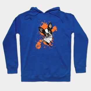 Crazy Boston Terrier Hoodie